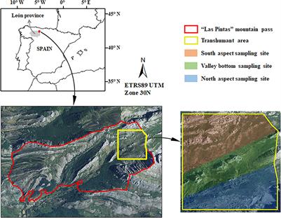 Transhumant Sheep Grazing Enhances Ecosystem Multifunctionality in Productive Mountain Grasslands: A Case Study in the Cantabrian Mountains